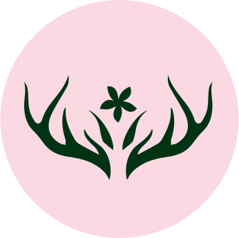 Millainen olen valmentajana, asiakas 38v